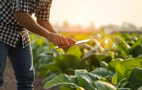 Agricultura